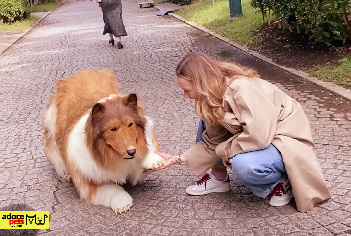 Você está visualizando atualmente O Intrigante Homem que se “Transformou” em Cachorro