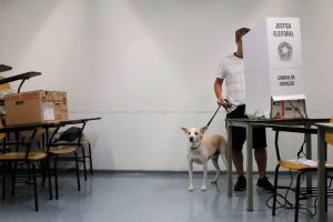 Leia mais sobre o artigo Eleições 2024: Eleitores Podem Levar Pets ao Local de Votação?