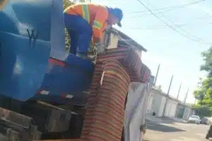 collorau imagem de cata treco itu