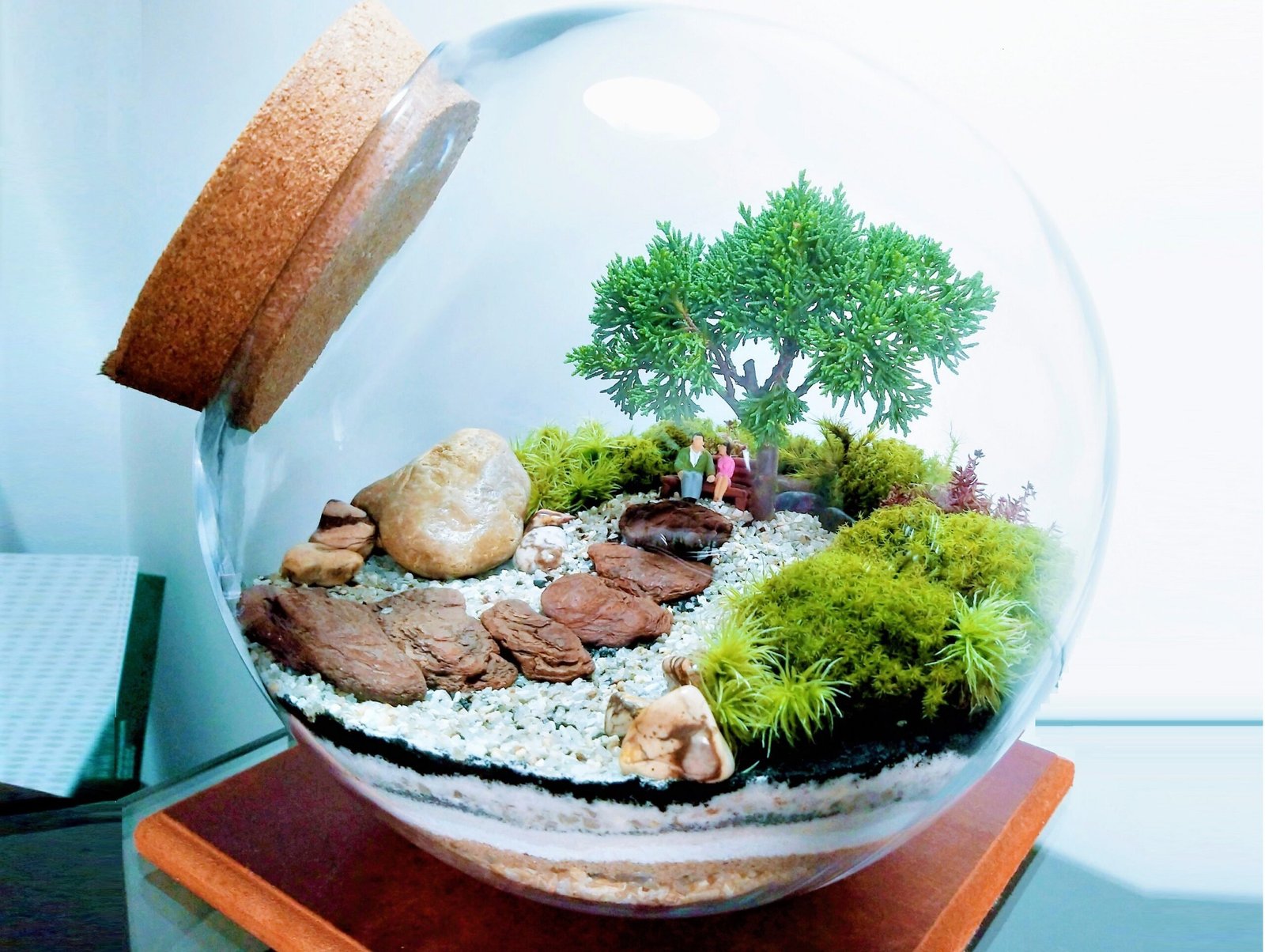 collorau imagem de terrario