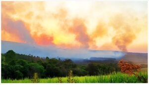 collorau imagem incendio fazenda ipanema