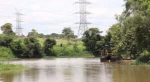 collorau imagem SAAE