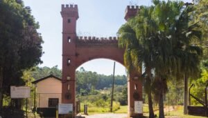 collorau imagem de Floresta Nacional de Ipanema