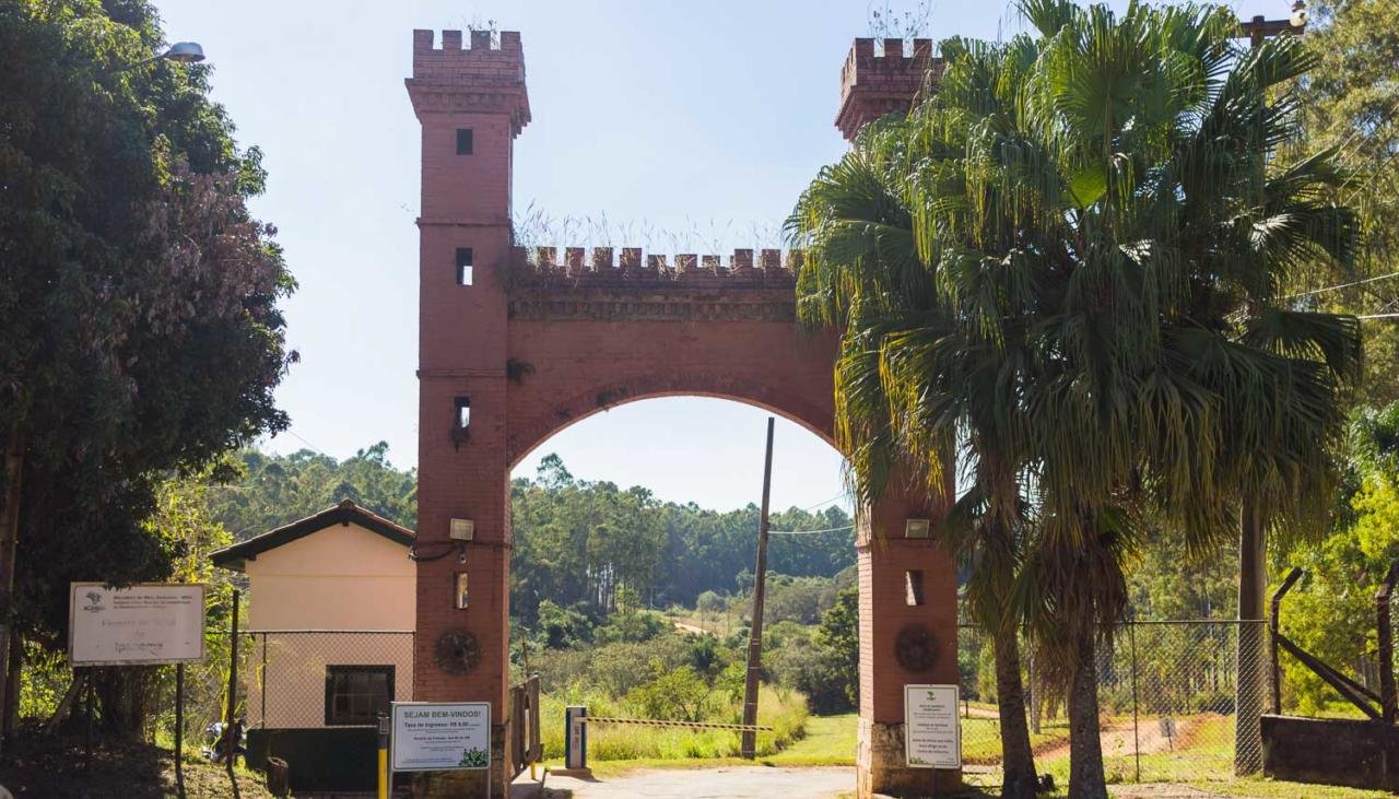 collorau imagem de Floresta Nacional de Ipanema