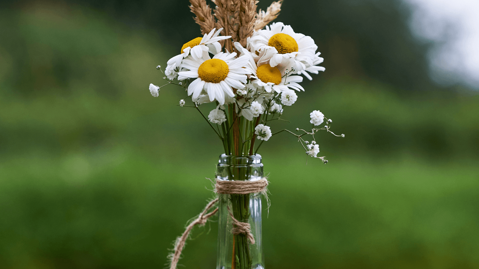 collorau imagem de garrafas de vidro