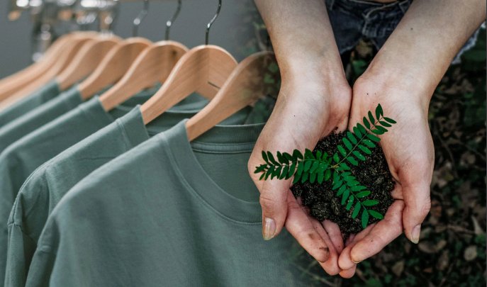 collorau imagem moda sustentável 2025