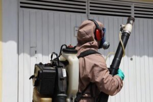 Dengue em Itu Collorau