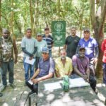 curso de moto serra itu imagem collorau