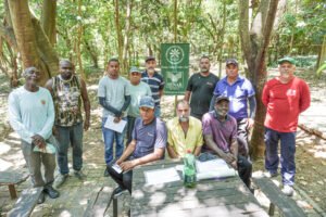 curso de moto serra itu imagem collorau