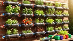 horta com garrafas PET imagem collorau