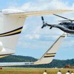 trasnsplante sao roque collorau