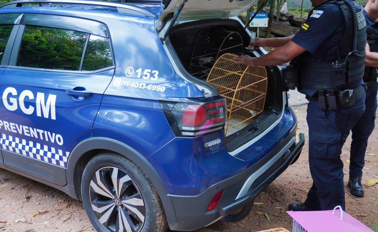 GEPAR imagem collorau