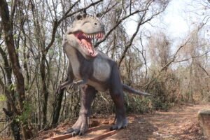 colonia de férias imagem collorau