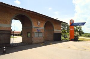 leilao prefeitura salto imagem collorau