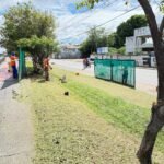 av paz universal itu imagem collorau