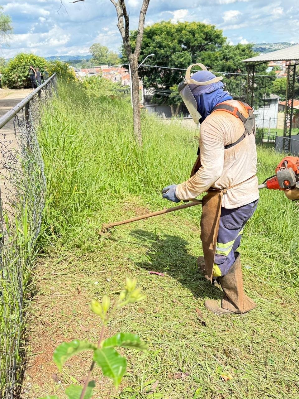 manuteção escolas imagem collorau