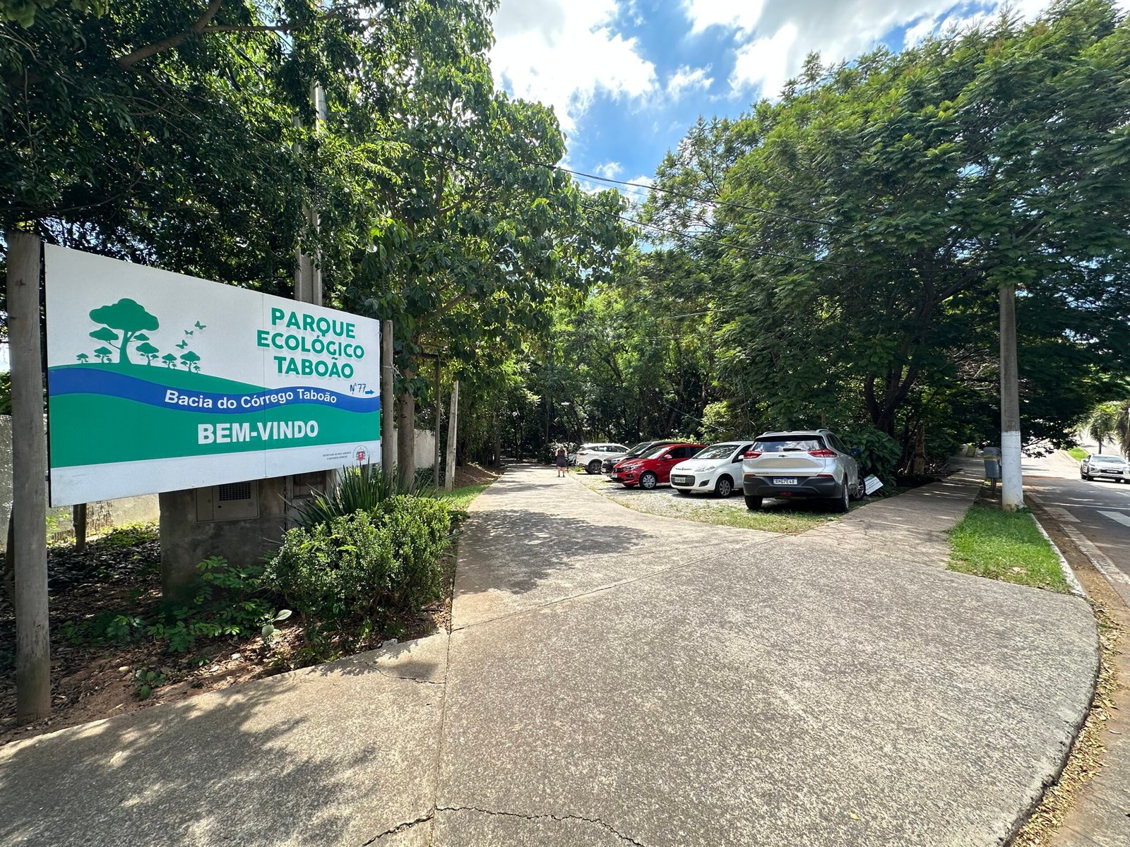 ecoart imagem collorau