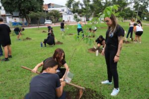 urbanizacao itu imagem collorau
