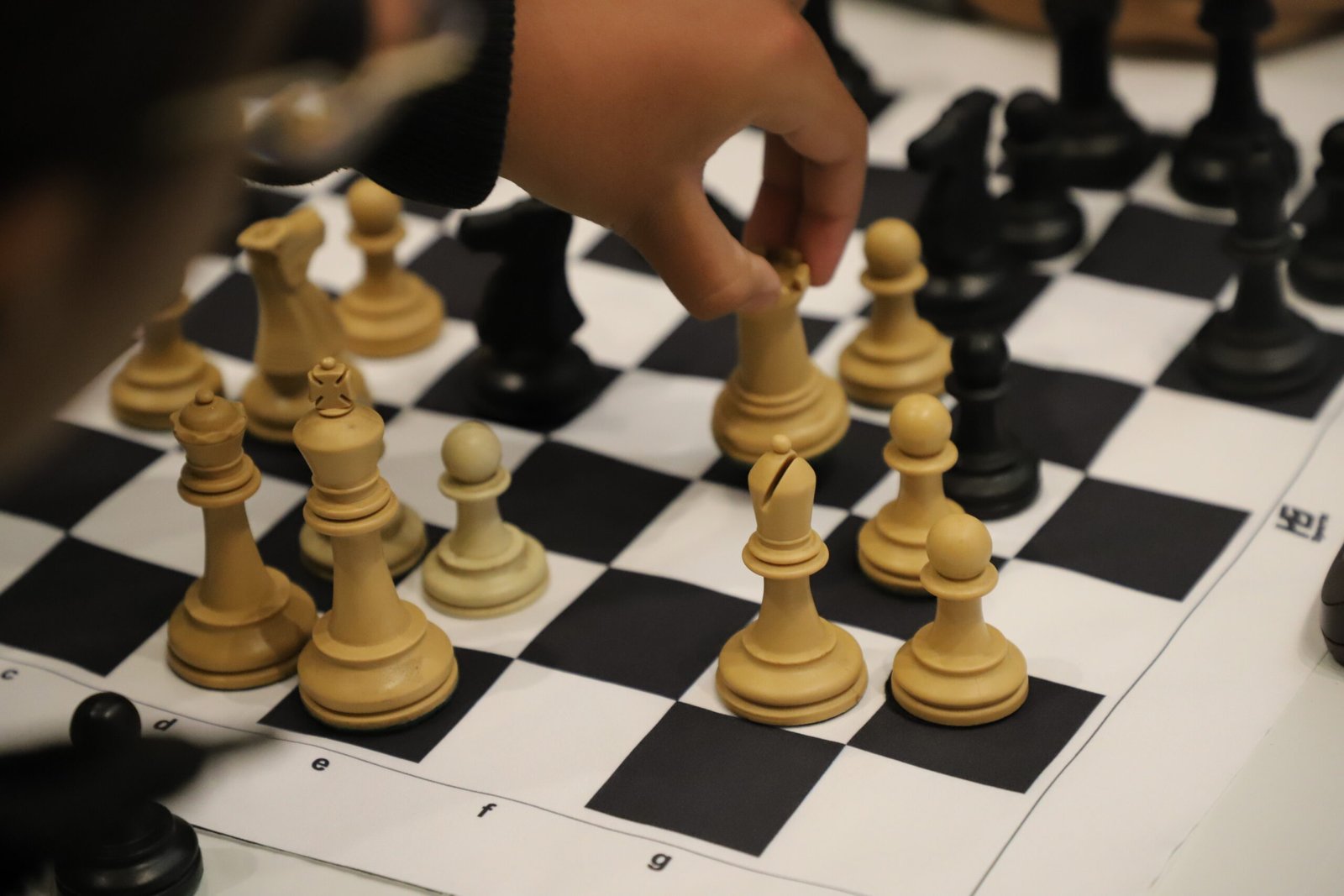 xadrez itu imagem collorau